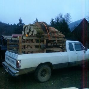 Meet your Posher, Ronnie